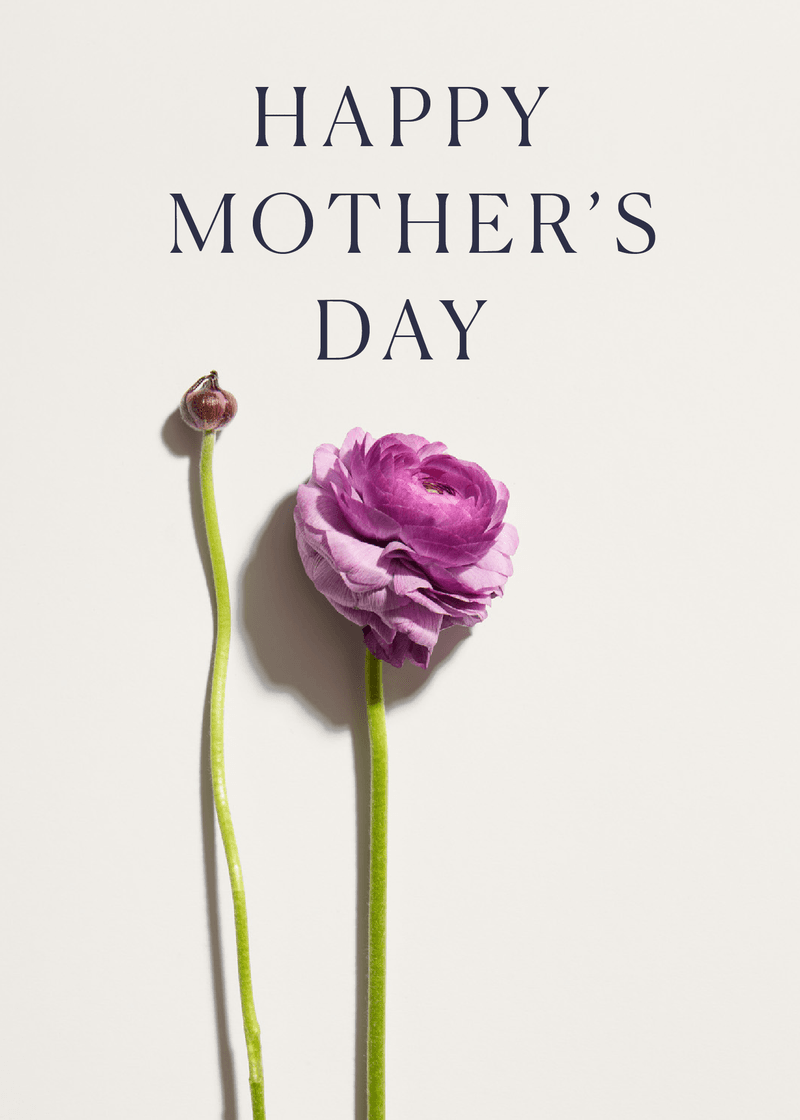 Bogg Mother's Day Greeting Card Y9